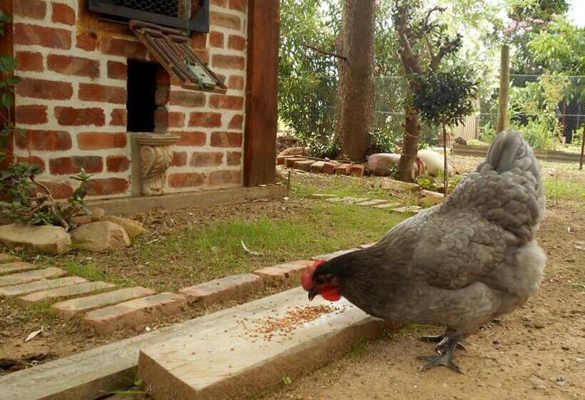 צימר Fleur Bleue & The Timber Frame