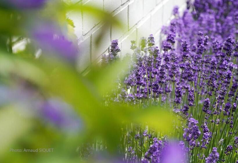 مبيت وإفطار Le Jardin Des Biches