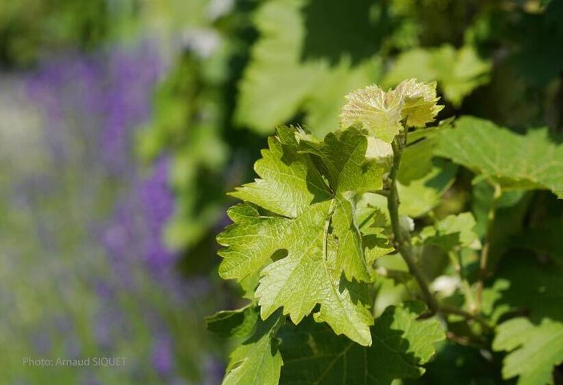 مبيت وإفطار Le Jardin Des Biches