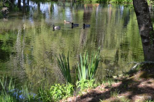 צימר Le Ranch Amadeus