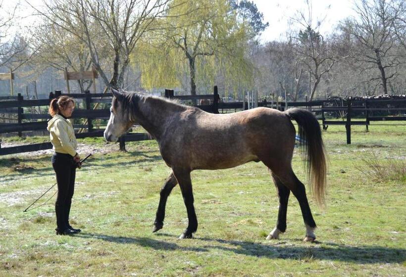 צימר Le Ranch Amadeus