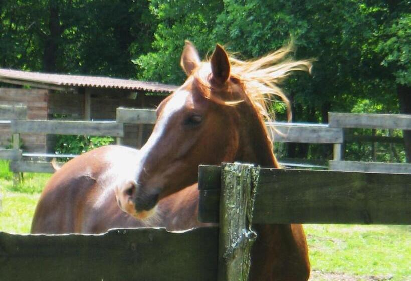 민박 Le Ranch Amadeus