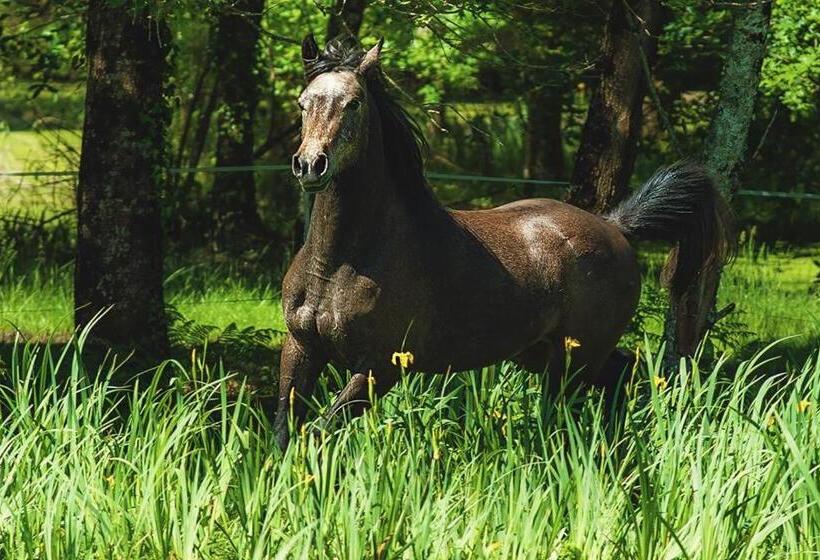 צימר Le Ranch Amadeus