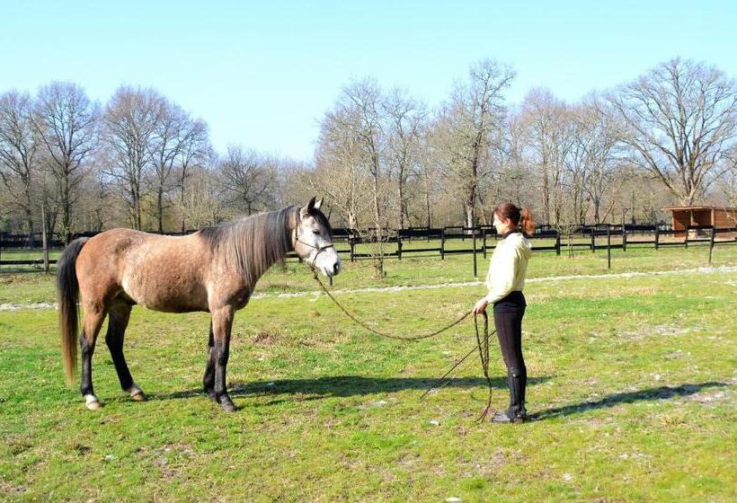 צימר Le Ranch Amadeus