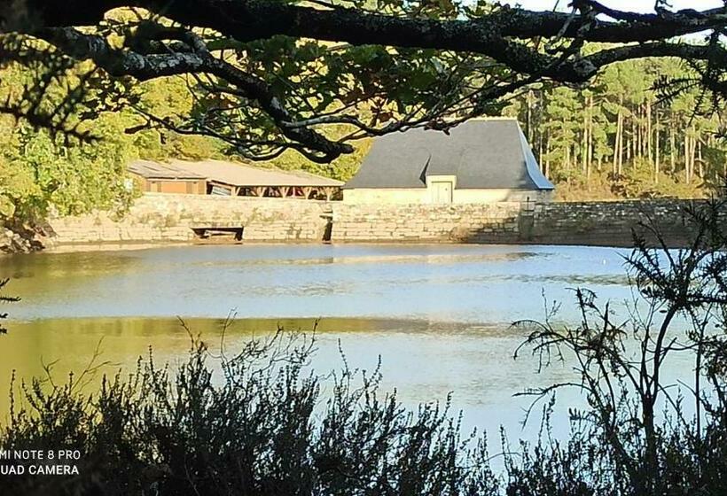 ベッドアンドブレックファースト Les Chambres De L Atelier