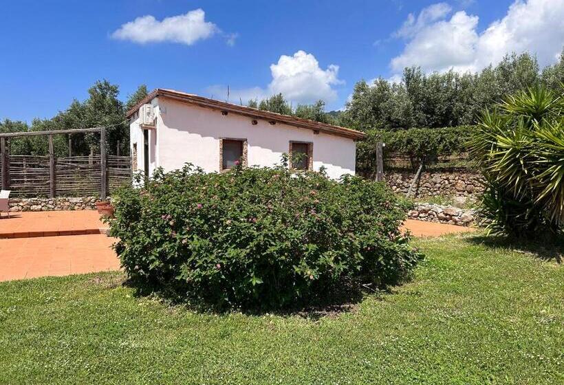 تختخواب و صبحانه Lo Sguardo Sul Golfo