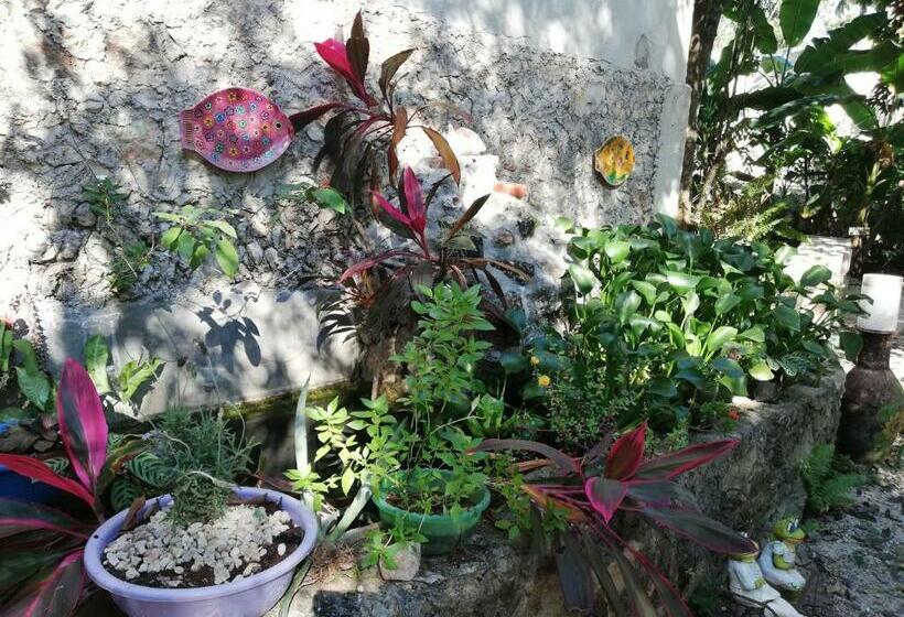 ベッドアンドブレックファースト Mayan Bungalow Near Chichén