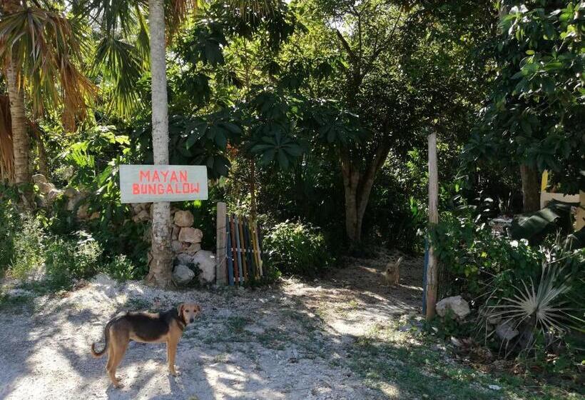 ベッドアンドブレックファースト Mayan Bungalow Near Chichén