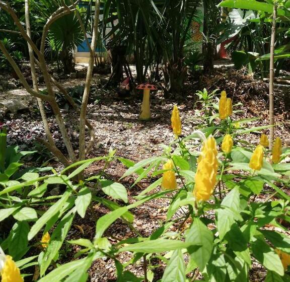 ベッドアンドブレックファースト Mayan Bungalow Near Chichén