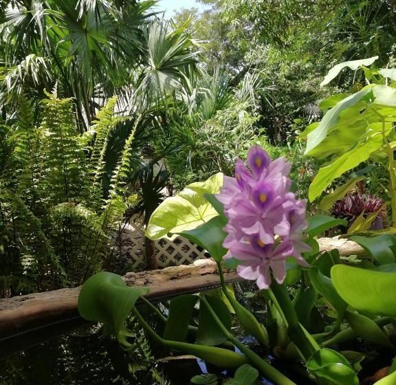 ベッドアンドブレックファースト Mayan Bungalow Near Chichén