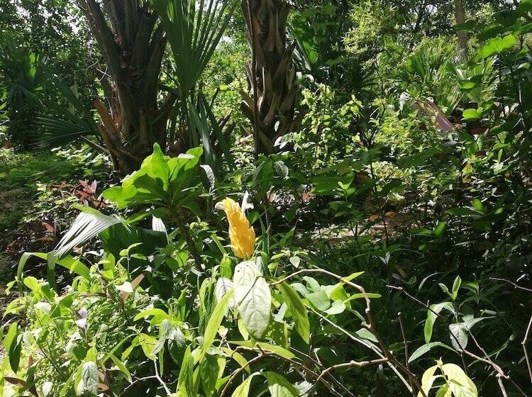 ベッドアンドブレックファースト Mayan Bungalow Near Chichén