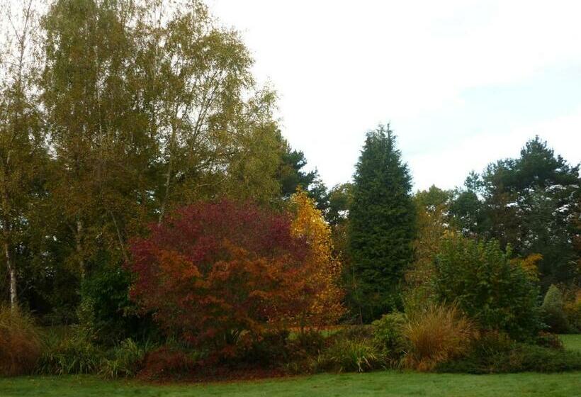 مبيت وإفطار Stretcha