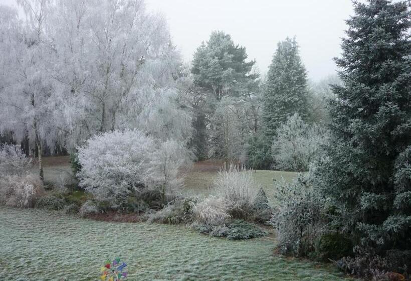 مبيت وإفطار Stretcha