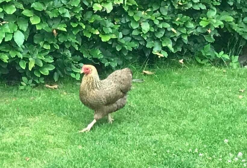 住宿加早餐 The Pool House