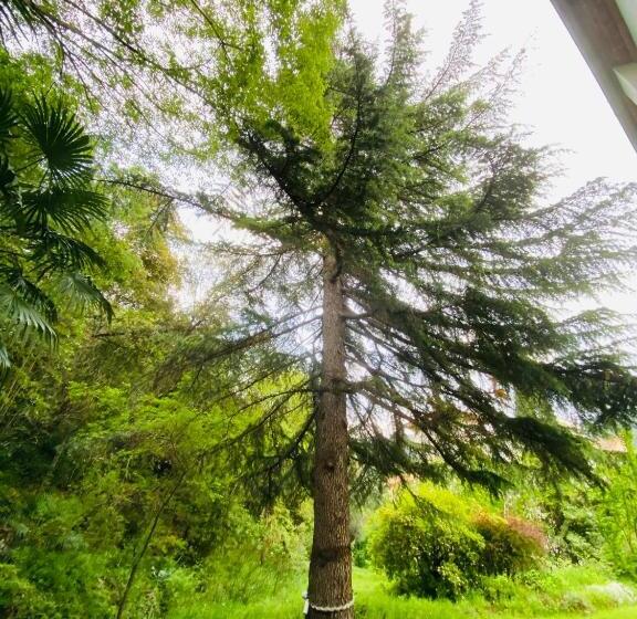 민박 Villa Riviera Chambres Privées