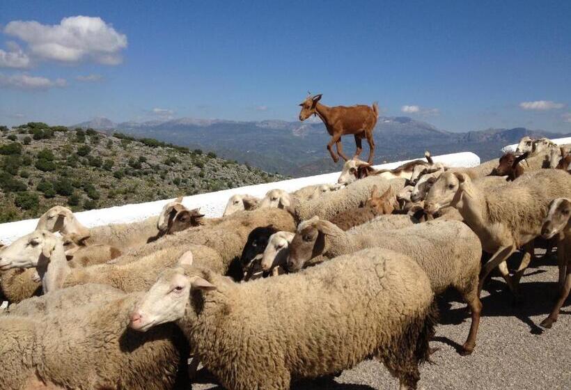 צימר Viva España