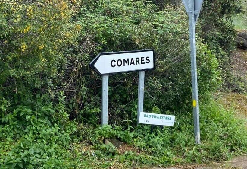 צימר Viva España