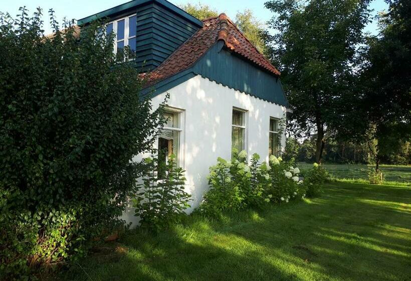 تختخواب و صبحانه Voorhuis