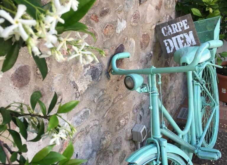 Bed & Breakfast Carpe Diem