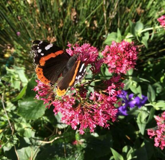 Bed & Breakfast Esprit De Mer