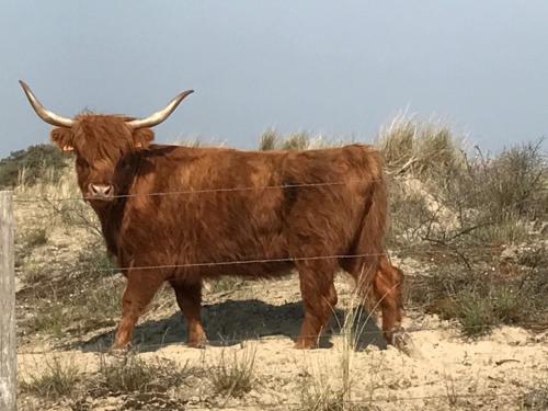 Bed & Breakfast Esprit De Mer