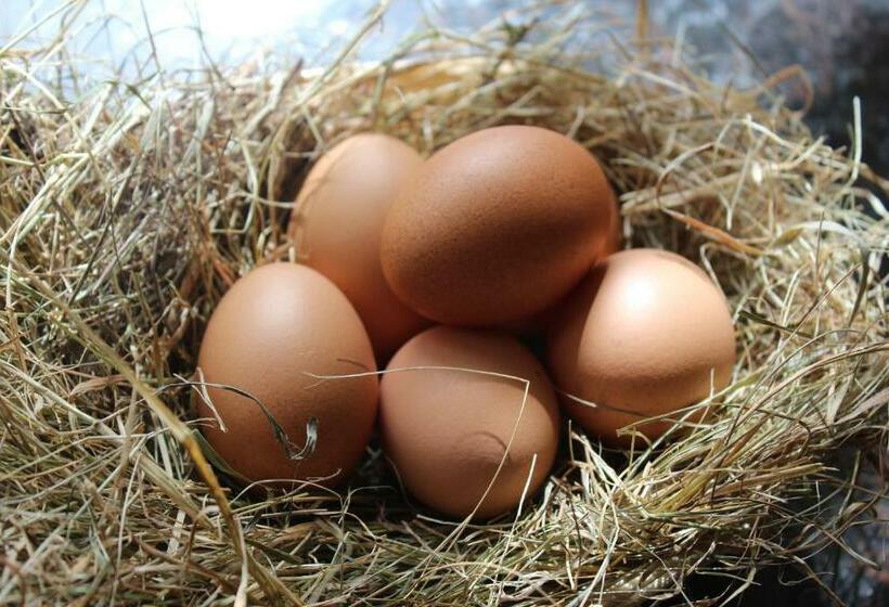 Brambling Fields B&b And Cottages