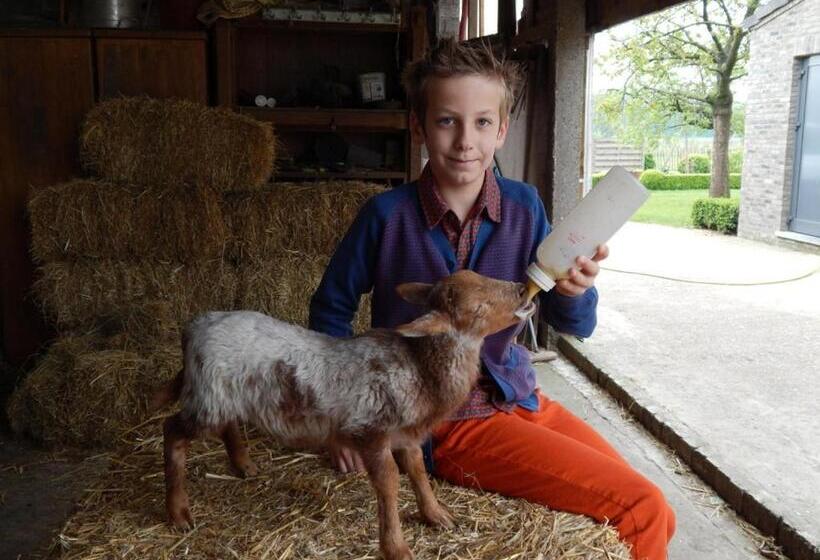 בית מלון כפרי De Schaapskooi