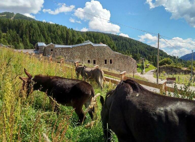 בית מלון כפרי Kofelhof