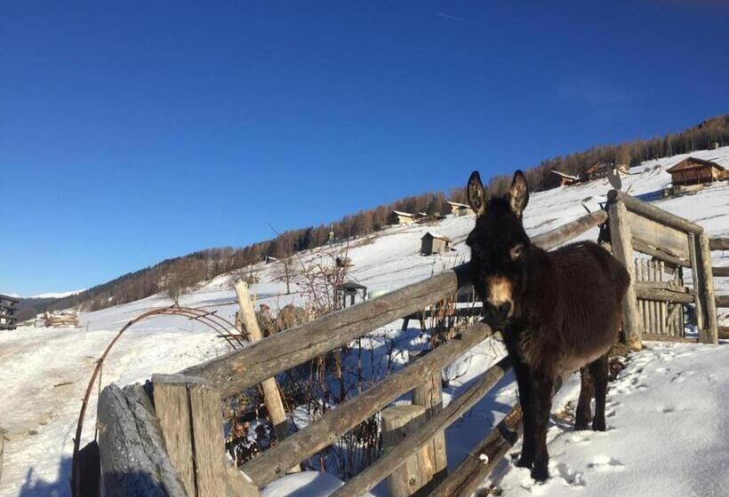 בית מלון כפרי Kofelhof