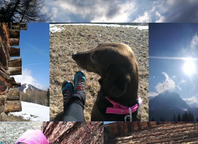 בית מלון כפרי Kofelhof