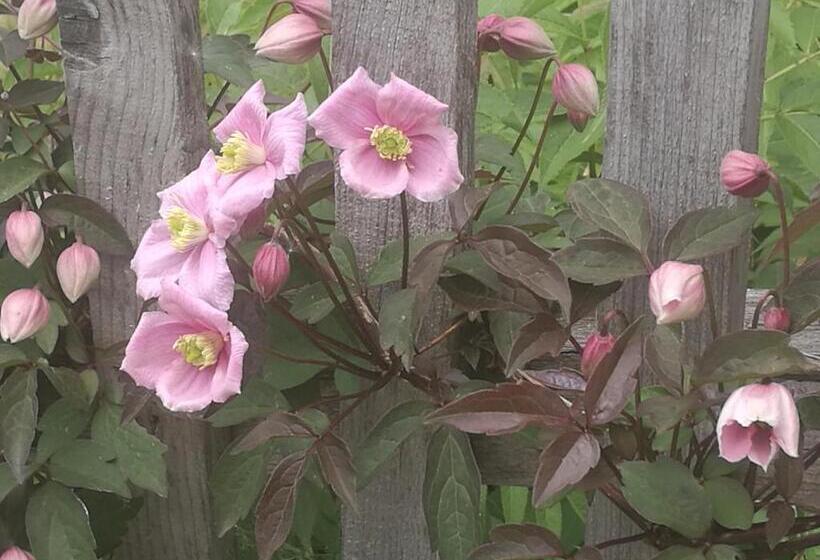 בית מלון כפרי Kofelhof