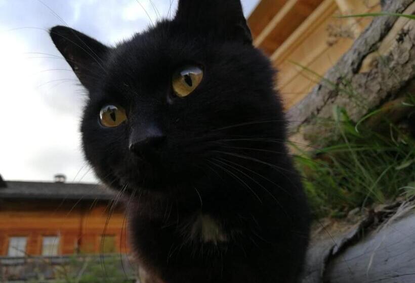 בית מלון כפרי Kofelhof