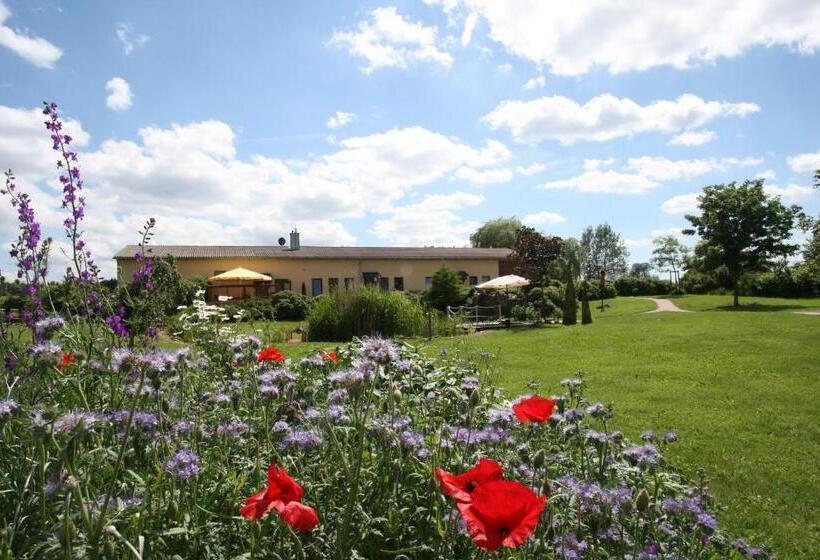 Отель Landhaus Hof Schlenstedt