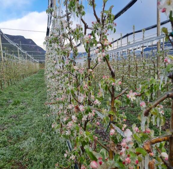 Отель Versigglhof