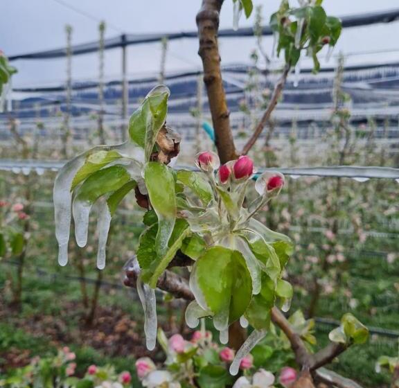 Отель Versigglhof