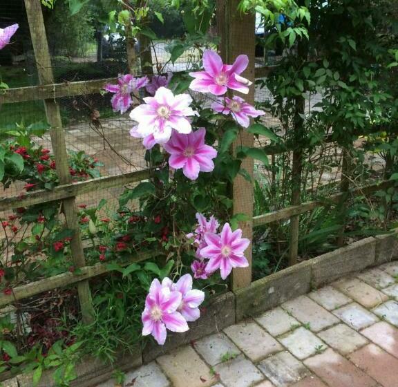 Jonti Bed And Breakfast