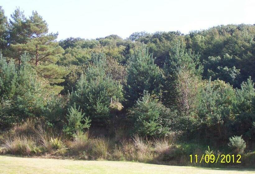 Jonti Bed And Breakfast