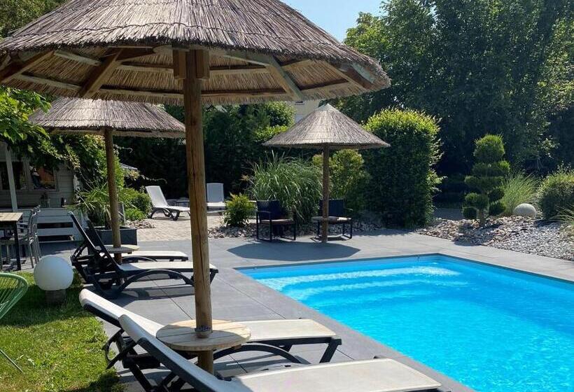 Les Rives Des Habsbourg