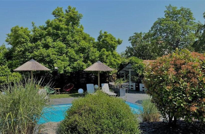 Les Rives Des Habsbourg