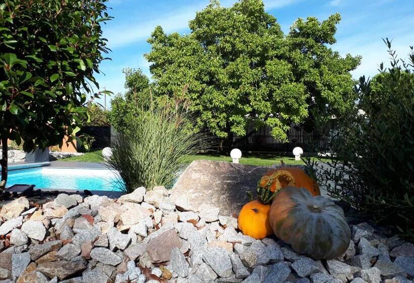 Les Rives Des Habsbourg