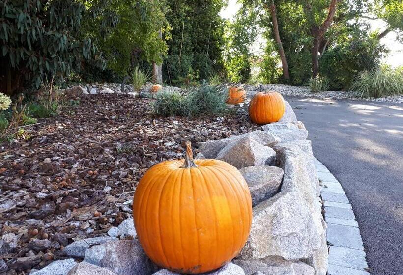 Les Rives Des Habsbourg