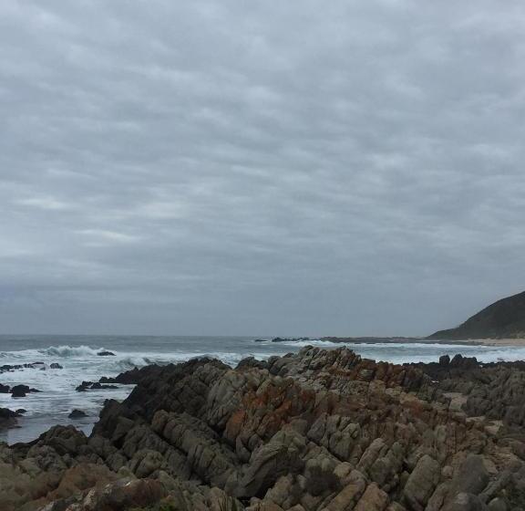 بنسيون Captain Sunshine Guest House