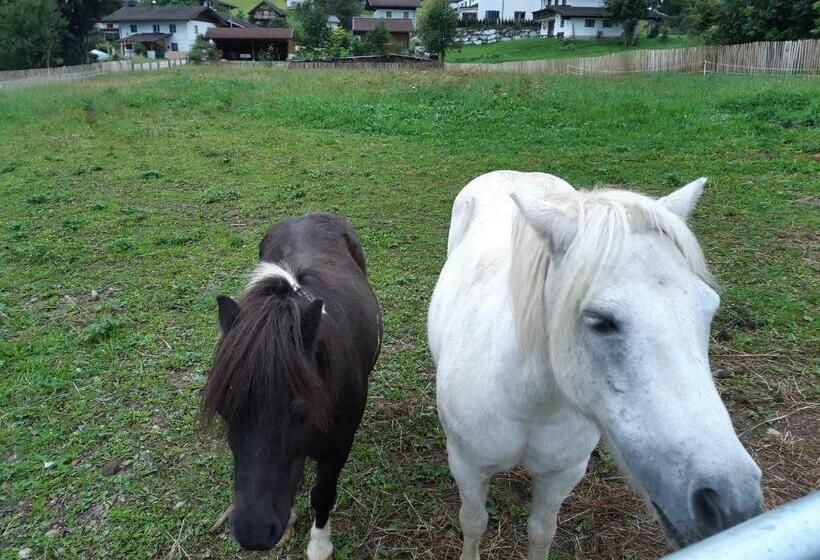 بنسيون Gut Vögeihof
