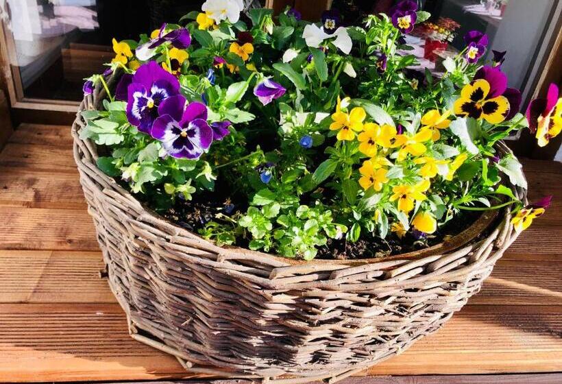 پانسیون Kristínka