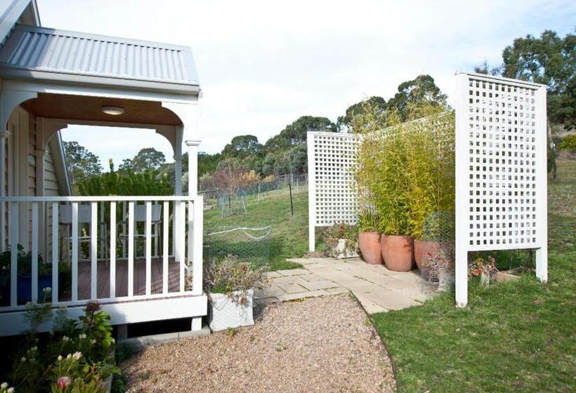 بنسيون Loft Over The Vines