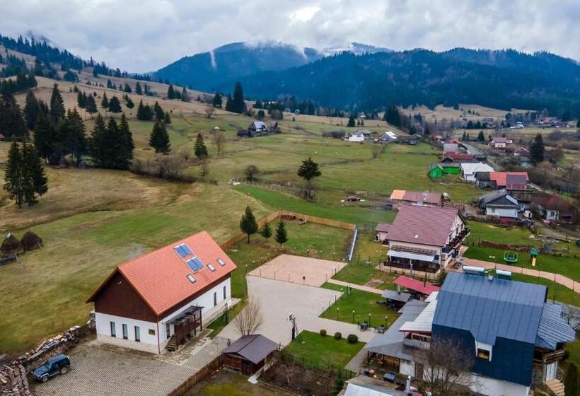 پانسیون Montana Resort Colibita
