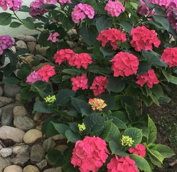 Пансион Queen Guest Room