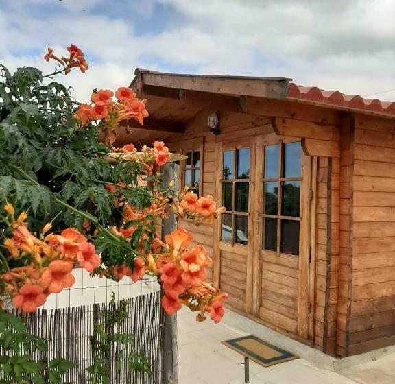 Пансион Quinta Do Pinheiro