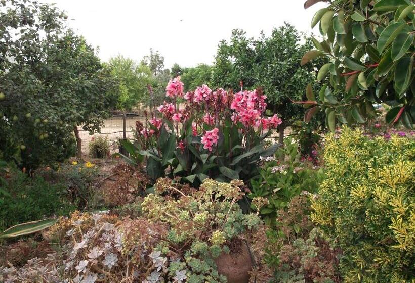 Пансион Quinta Do Pinheiro