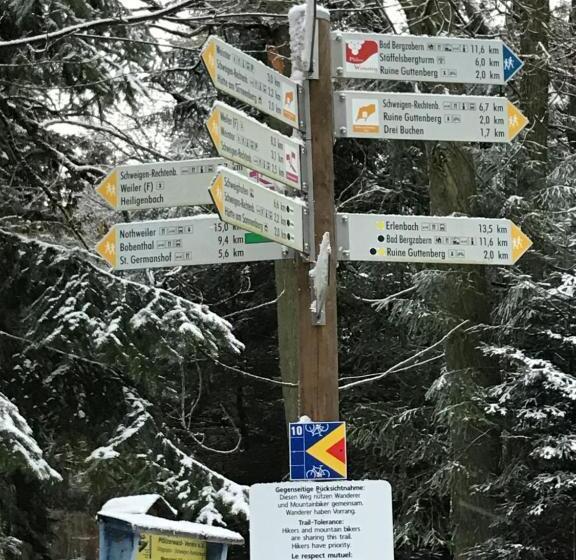 بنسيون Rebstöckel